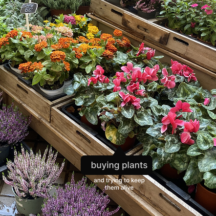 Plants